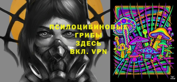 PSILOCYBIN Алзамай