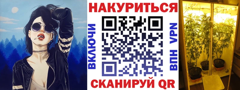 Канабис OG Kush  Фокино 
